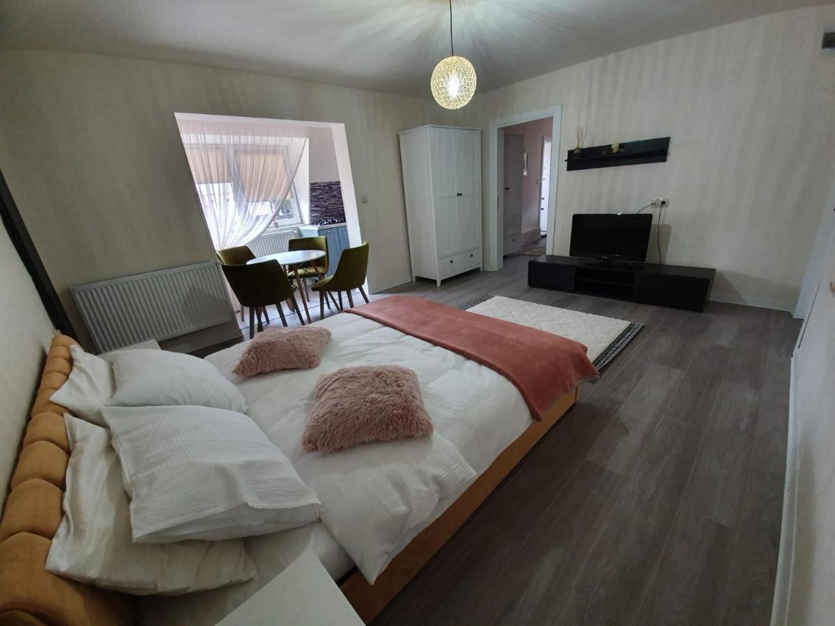 Villa Coca Кымпулунг-Молдовенеск Экстерьер фото